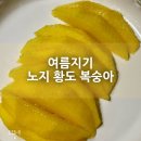 여름지기 - 봉화군 공세동길 86 | 과즙 가득한 여름지기 노지 황도복숭아 직접 먹어본 후기 :)
