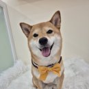 주주살롱 이미지