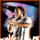 박진만 대행 지금까지 봤을때 느낌이 어떠신가요? 이미지