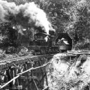 통리5일장 이미지