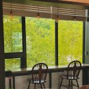 전명렬짬뽕 | 구리브런치카페 한나정원 분위기 좋은 교문동 맛집 내돈내산