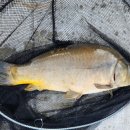 행운낚시터 이미지