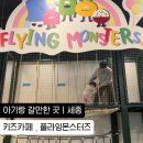 세종 키즈카페 , 다정동 플라잉몬스터즈 추천