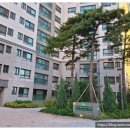 동성큰사랑어린이집 | 남천금호어울림더비치2019년대비248,000,000원 상승과 전고점(2022년)대비 164,000,000원 하락한...