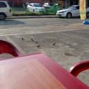 미니스톱 송내점 이미지