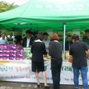입장거봉포도(서울) 이미지