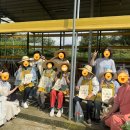 동부케어공도노인복지센타 이미지