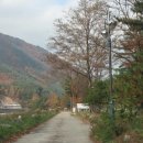 졸드루야영장 이미지