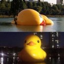 덕