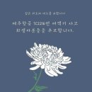 무안스포츠파크 이미지