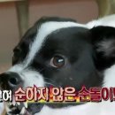 책가도원