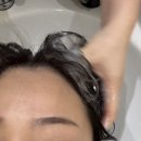 더오름 | 아산 탕정역 미용실 더오름 헤어 리페어 클리닉 후기