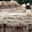 영랑생가 이미지