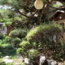 수원-1146 이미지