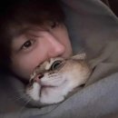 고롱고롱 이미지