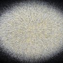 빛의 변주 이미지