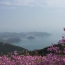 대금산주유소 Daum카페