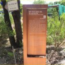 영주수도리김정규가옥 이미지