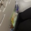 2126 | [보홀]라메디 입국팩, 출국팩 내돈내산 후기 | 제주항공 7C2125, 7C2126 후기부터 공항 꿀팁 총정리