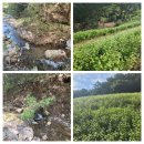 옥화대주유소 | 62th. 10. 2~10. 4 (2박 3일 간) 충북 청주, 대전, 전북 정읍 캠핑 여행 후기입니다.