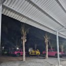 숙이목장 | 21개월 아기랑 베트남 나트랑 여행 기록 ② 판랑사막투어