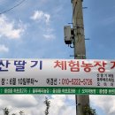 초천3리 이미지