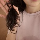김영천식물클리닉주식회사 | 헤어오일 추천 루체스터 씨위드 인텐시브 리브 인 샤인 오일 솔직후기