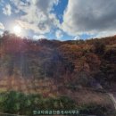 판교풍경채제일공인중개사사무소 이미지