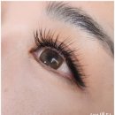 세인자연 이미지