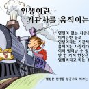 벨루션
