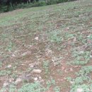 자라농장 이미지