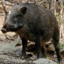 부산도시철도 신평역 이미지