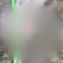 뿌리동물병원 이미지