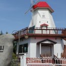 튤립공원 이미지