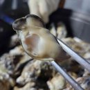 버스정류장 07-391 이미지