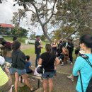 6581 | 하와이 빅아일랜드 코나커피 농장투어 Greenwell Farms 방문 후기｜무료 시음, 예약, 위치 총정리