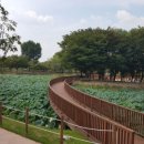 소풍정원1 이미지