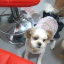 용아농장 이미지