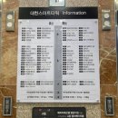 모티뷰 헤어 이미지