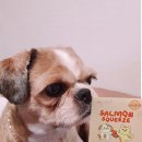 스푼풀코리아 이미지