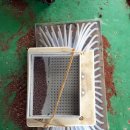 다정이네 이미지