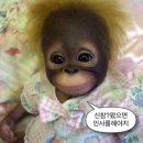 두발로병원