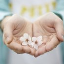 쉬즈성형외과의원 이미지