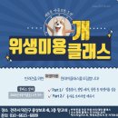 펫독강아지고양이분양미용