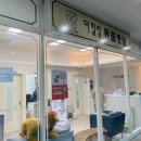 더힐링동물병원