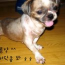 예솔