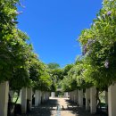 J.E House | 호주 캔버라 당일치기 여행 - 일정 추천 &amp; 인생 버거 맛집