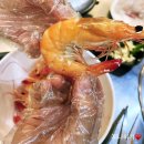 동부회센타