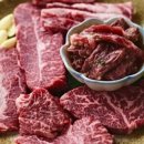 달빛고기 이미지