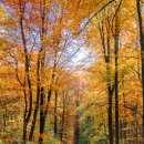 365류마고내과의원 | 건강생활신청지원금 신청방법 걷기만해도 12만원을 준다는데?